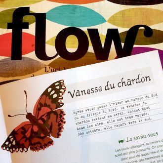 vanesse du chardon_flow vanesse du chardon dans flow magazine. Illustration Brie Harrison.
