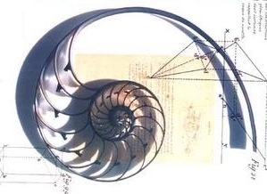 Lire la suite à propos de l’article Le nombre d’or et la divine proportion