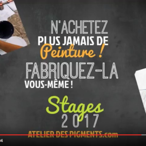 Stages 2017 : présentation en vidéo