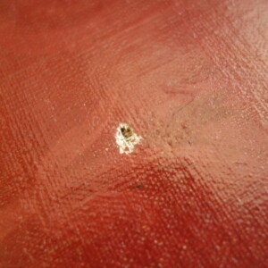 Manque dans la couche picturale